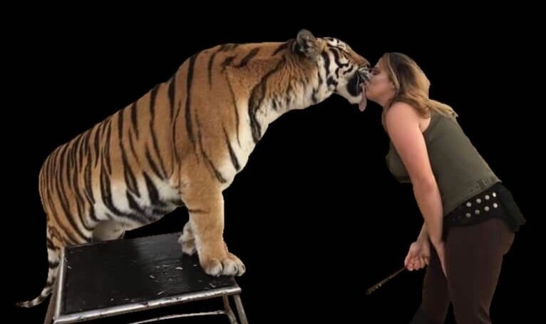 Daily Family Fun - Alabama National Fair