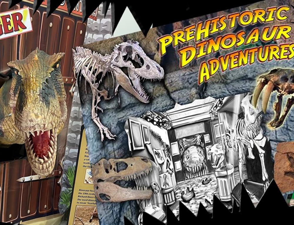 Cretaceous Kingdom main